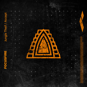 Jungle Theif / Accept by Focusfire Cover Art