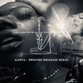 Sweating (Breakage Remix) by Breakage Cover Art