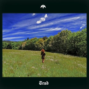 TRAD by Mistabishi Cover Art