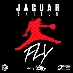 FLY (feat. WiDE AWAKE) by Jaguar Skills Cover Art