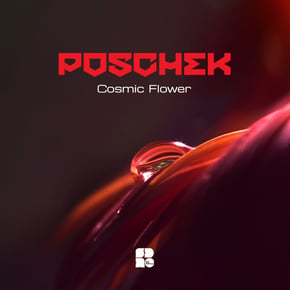 Cosmic Flower by Poschek Cover Art