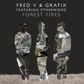 Forest Fires by Fred V & Grafix Cover Art