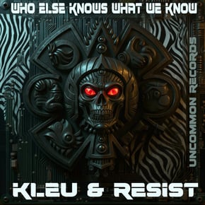 Who else knows what we know? by Kleu Cover Art