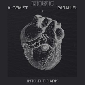 Into The Dark by Alcemist Cover Art