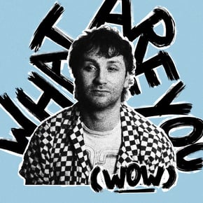 What Are You (Wow) by Fox Stevenson Cover Art