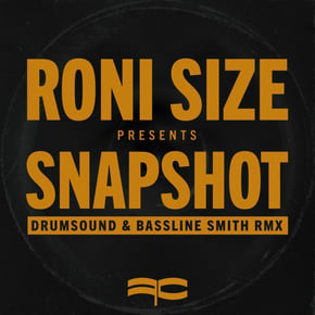 Snapshot (Drumsound & Bassline Smith Remix) by Roni Size & Drumsound & Bassline Smith Cover Art