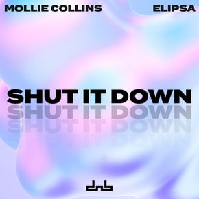 Shut It Down by Mollie Collins Cover Art