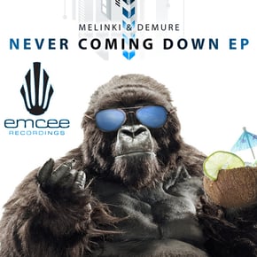 Never Coming Down by Melinki Cover Art