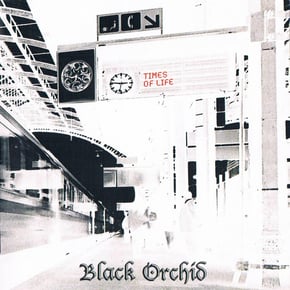 Times of Life by Black Orchid Cover Art