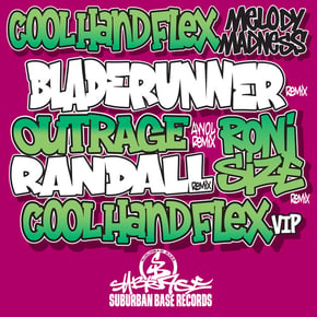 Melody Madness by Roni Size Cover Art