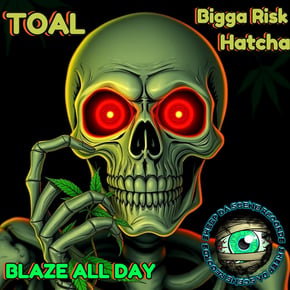Blaze All Day EP by Bigga risk, Toal & Hatcha Cover Art