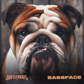 Bassface by Dub Elements Cover Art