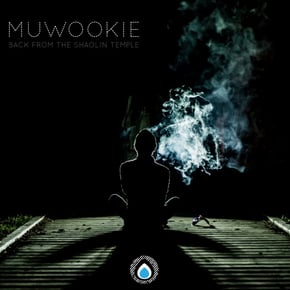 Back From The Shaolin Temple by Muwookie Cover Art