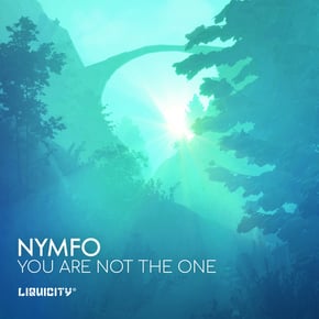 You Are Not The One by Nymfo Cover Art