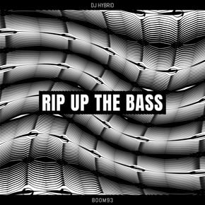 Rip Up The Bass by DJ Hybrid Cover Art