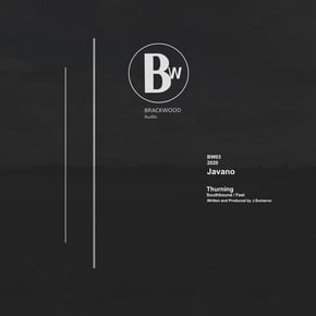 Thurning by Javano Cover Art