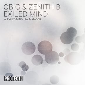 Exiled Mind by Qbig Cover Art