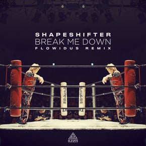 Break Me Down (Flowidus Remix) by Shapeshifter & Terminus Cover Art