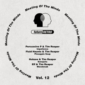 Meeting Of The Minds Vol. 12 by Tim Reaper Cover Art