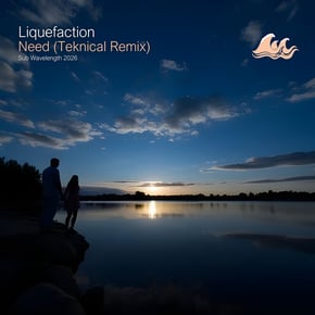 Need (Teknical Remix) by Liquefaction & Teknical Cover Art