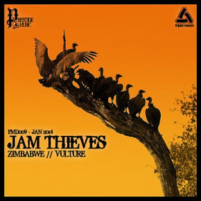 Zimbabwe / Vulture by Jam Thieves Cover Art