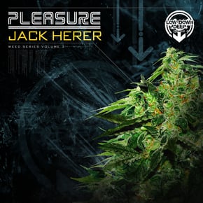 Jack Herer by DJ Pleasure Cover Art