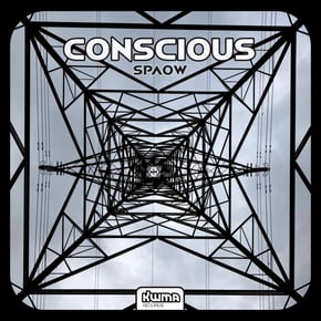 Conscious by Spaow Cover Art