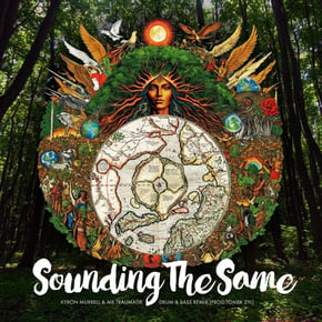Sounding the same (Drum & Bass Version) by Mr Traumatik, Kyron Murrell & Tomek Zyl Cover Art