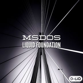 Liquid Foundation by MSDOS Cover Art