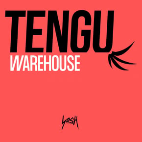 Warehouse by Tengu Cover Art