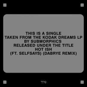 Hot Ish (Dabrye Remix) by Submorphics Cover Art