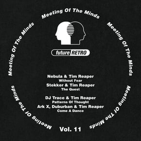 Meeting Of The Minds Vol. 11 by Tim Reaper Cover Art