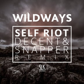 Self Riot (Decent & Snapper Remix) by Despersion Cover Art
