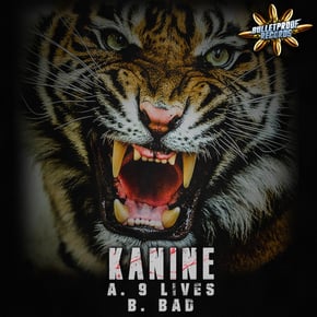 9 Lives by Kanine Cover Art