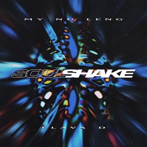 Soul Shake by Flava D & My Nu Leng Cover Art