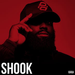 Shook by P Money Cover Art