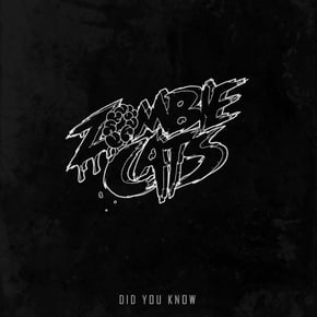 Did You Know by Zombie Cats Cover Art