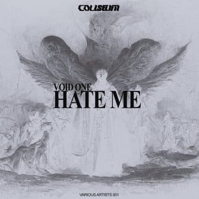 Hate Me by Void One Cover Art