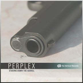 Staring Down The Barrel by Perplex (DNB) Cover Art