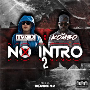 No Intro 2 by Bunnerz Cover Art