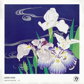 Understanding - EP by Aaron Payne Cover Art