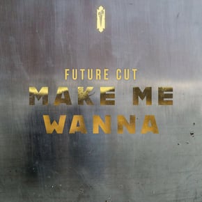 Make Me Wanna by Future Cut Cover Art
