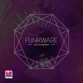 Are You Enough by Funkware Cover Art