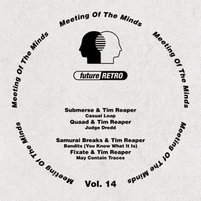 Meeting Of The Minds Vol. 14 by Tim Reaper Cover Art