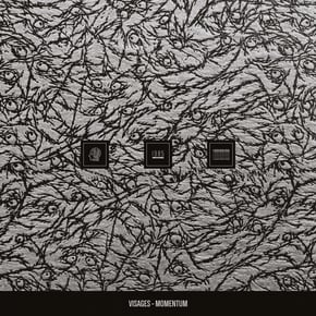 Momentum by Visages Cover Art