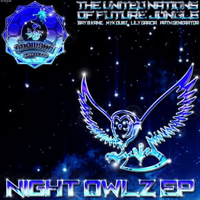 Night Owlz EP by Soulmotion, Bay B Kane, Lily García, Myk Dubz & Path Generator Cover Art