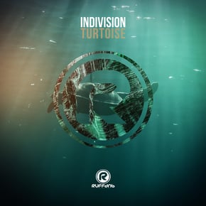 Turtoise by Indivision Cover Art