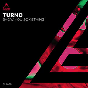 Show You Something by Chili Banks & Turno Cover Art