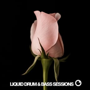 Liquid Drum & Bass Sessions Vol 12 by Dreazz Cover Art
