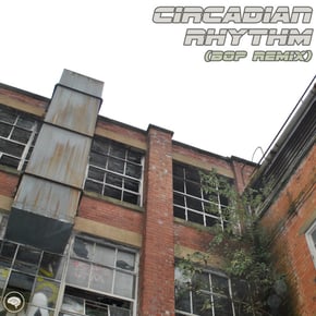 Circadian Rhythm (BOP Remix) by BOP Cover Art